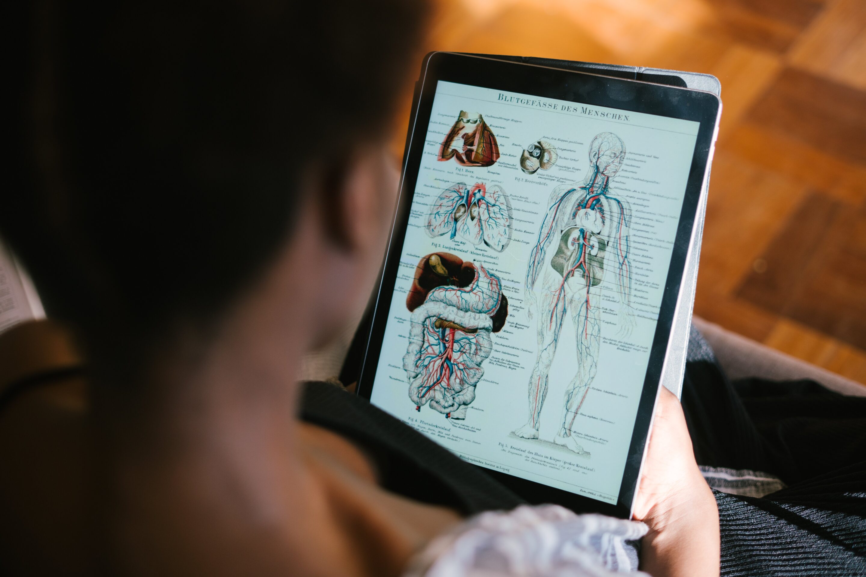 Concours médecine et dentisterie en Belgique : le guide complet pour les lycéens français